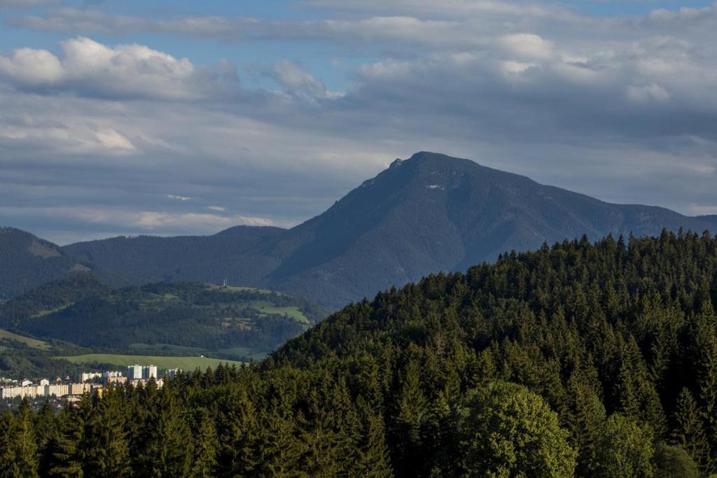 Apartman Kubinska 33 Dolny Kubin Exteriör bild